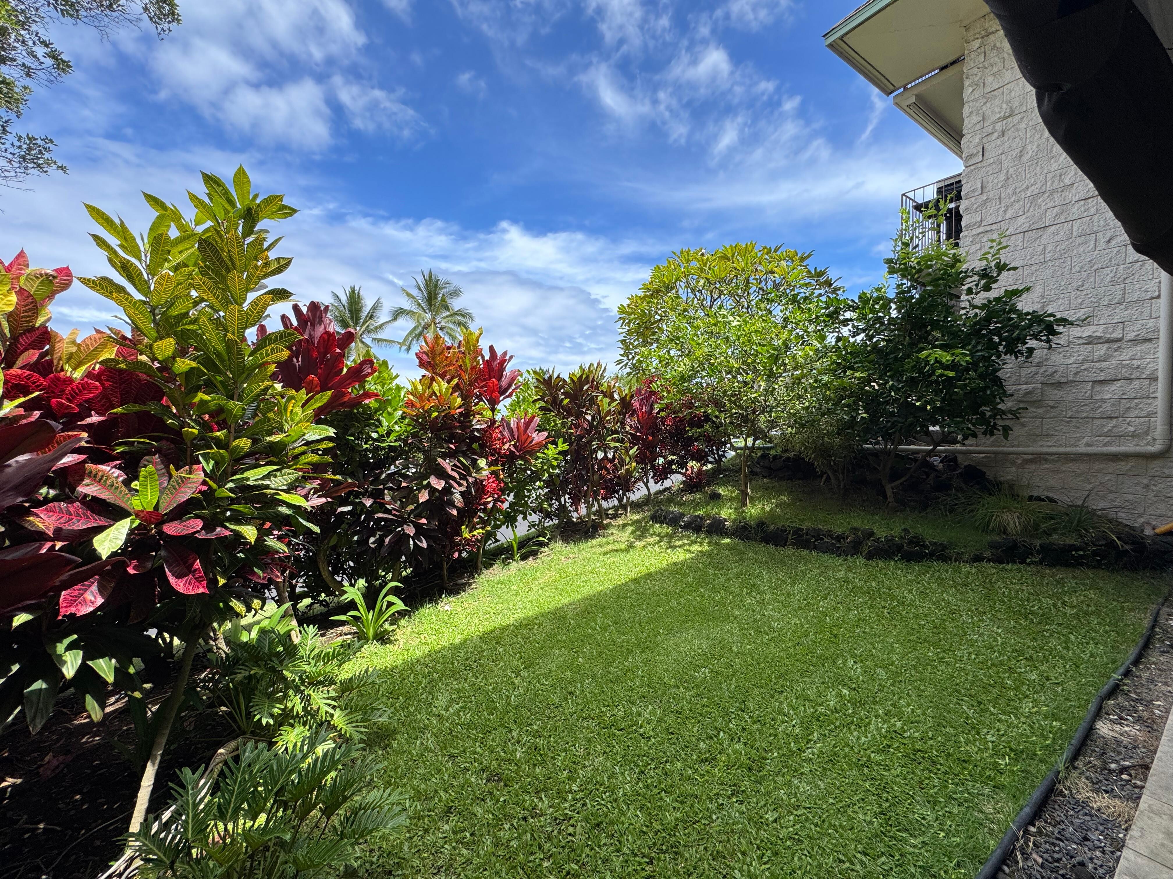 The private yard outside the lanai. 