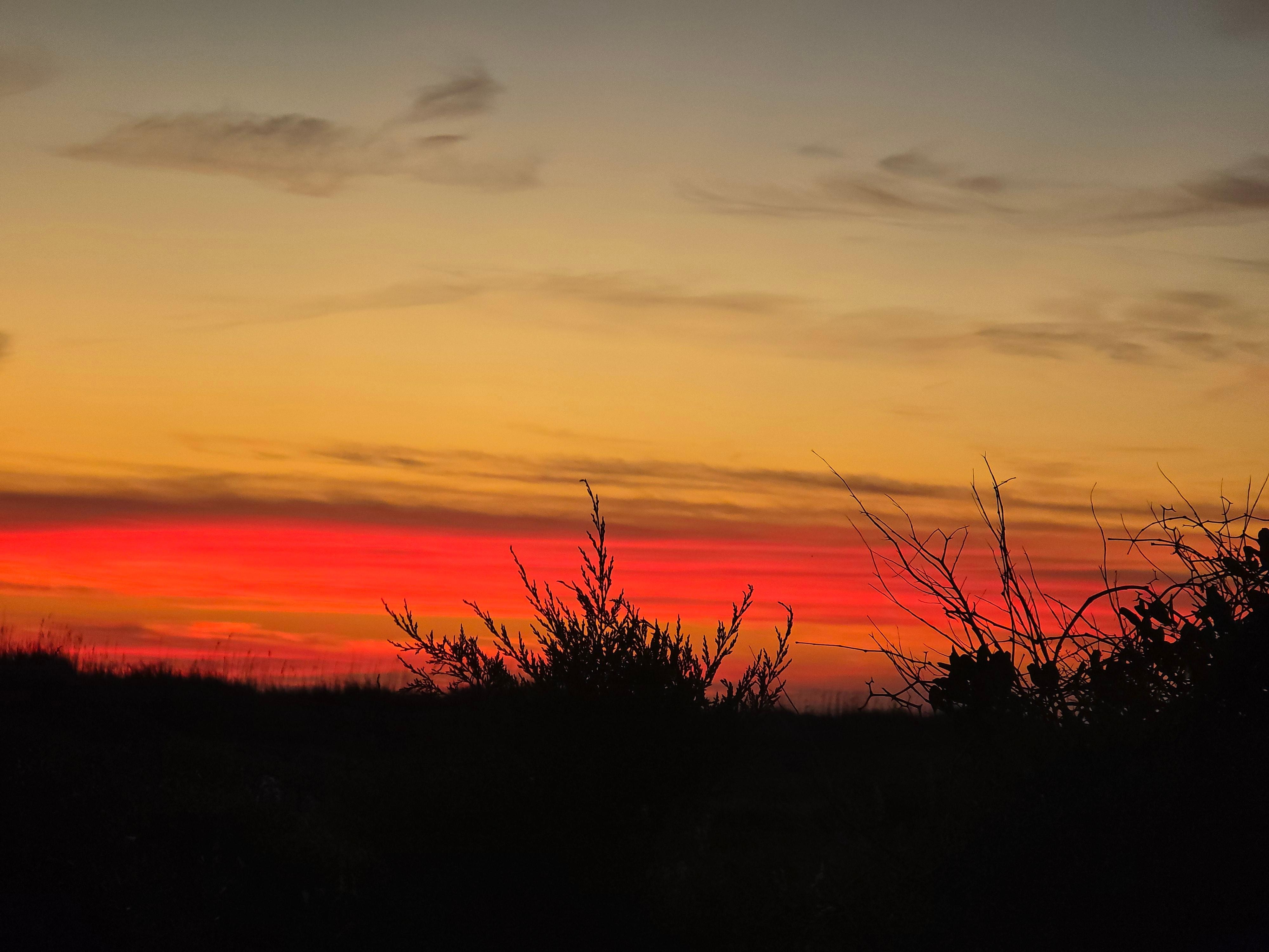 Sunset from gazebo on property.