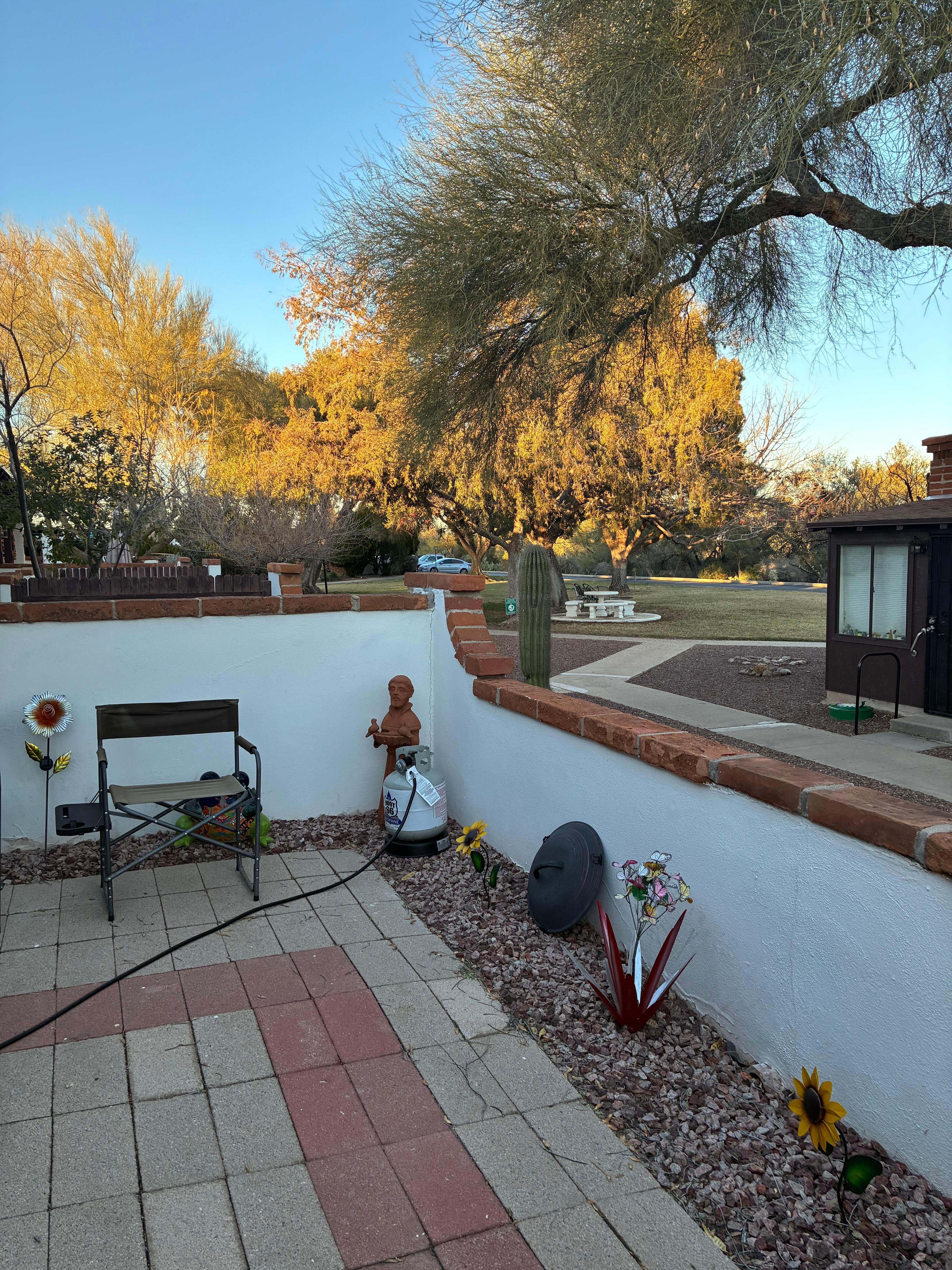 Loved the view with beautiful trees and cactus