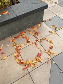 中庭の隠れミッキー