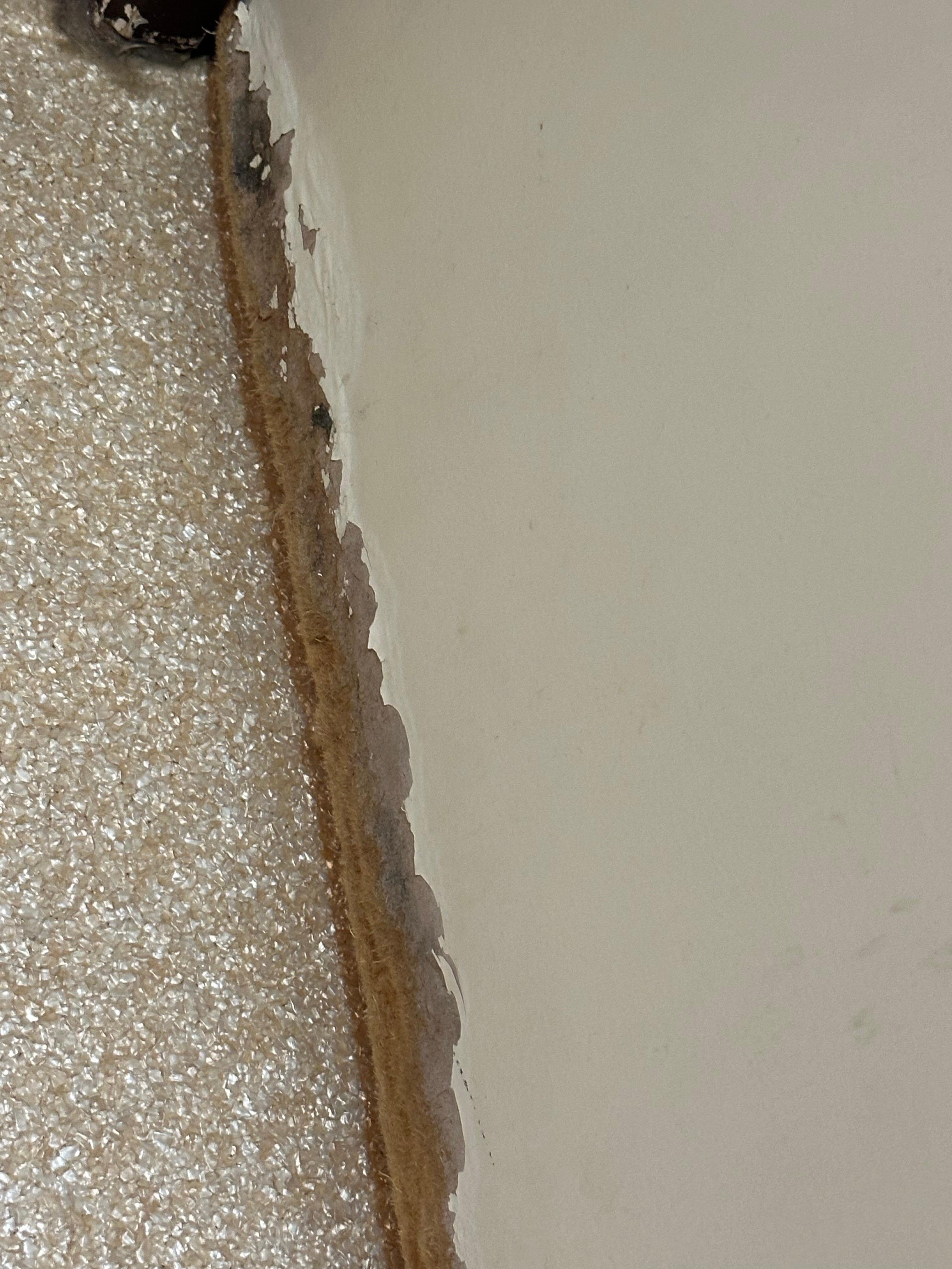 Des portes qui ont bien travailler 