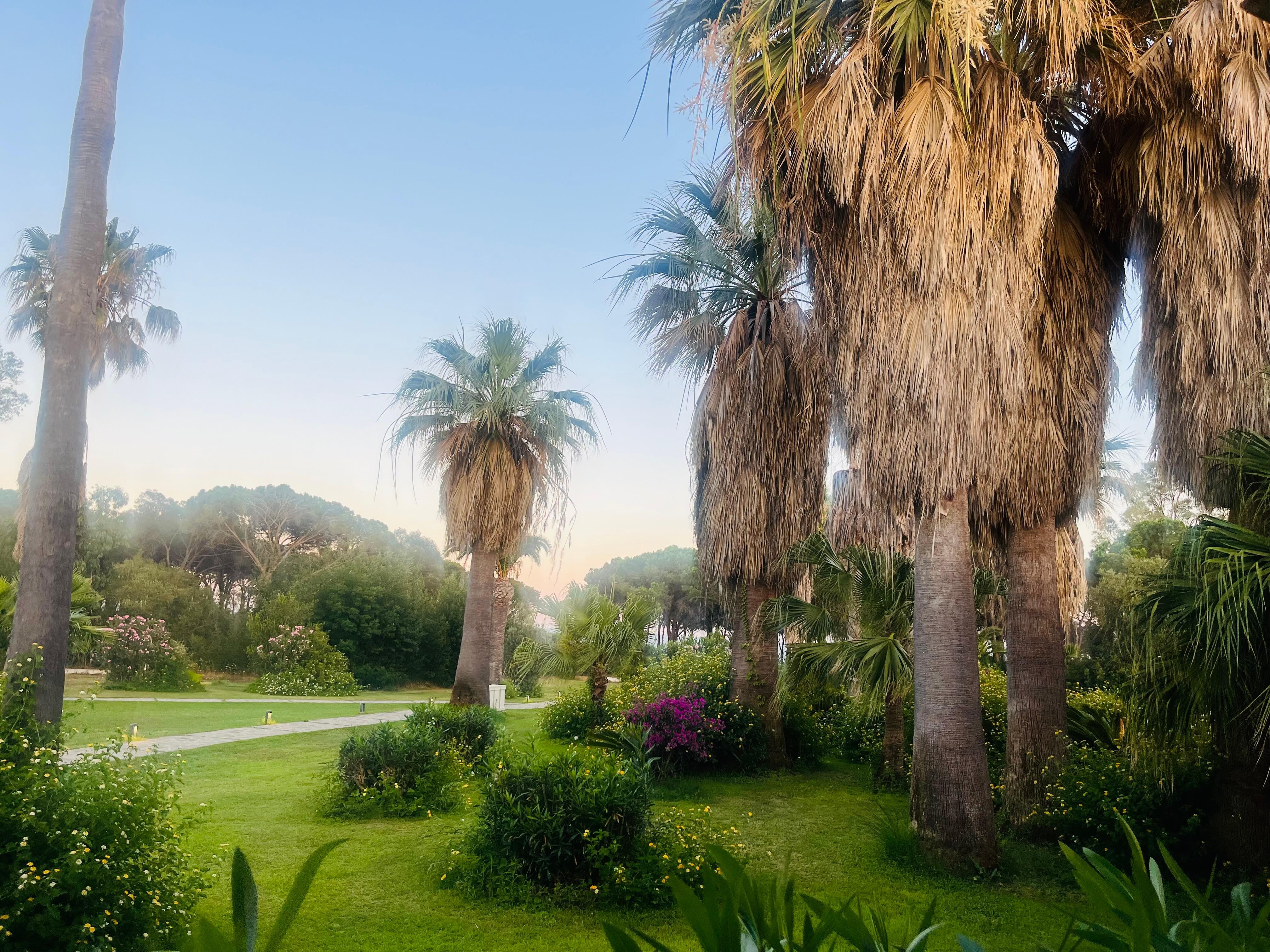 The gardens 