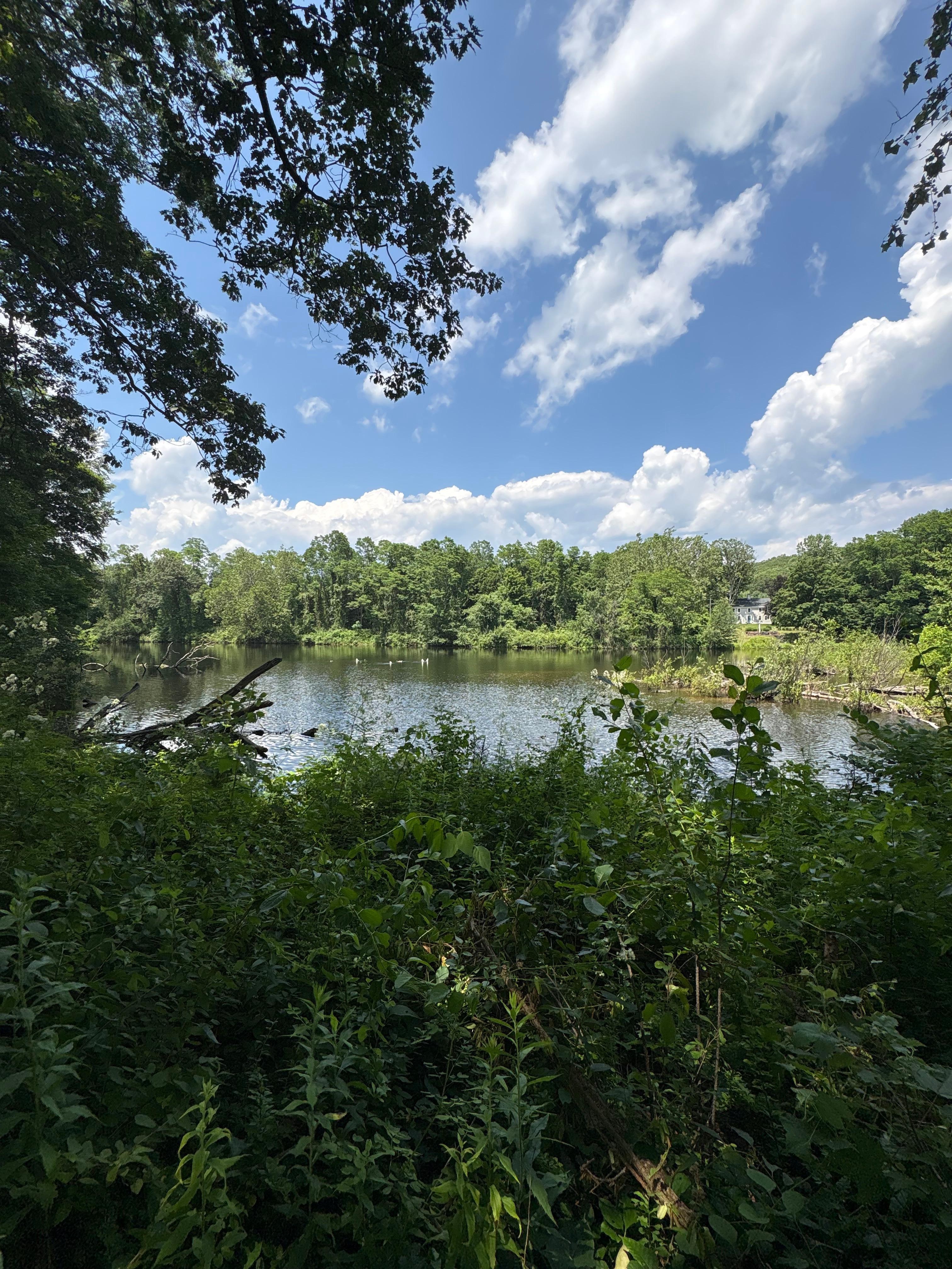 From across the river