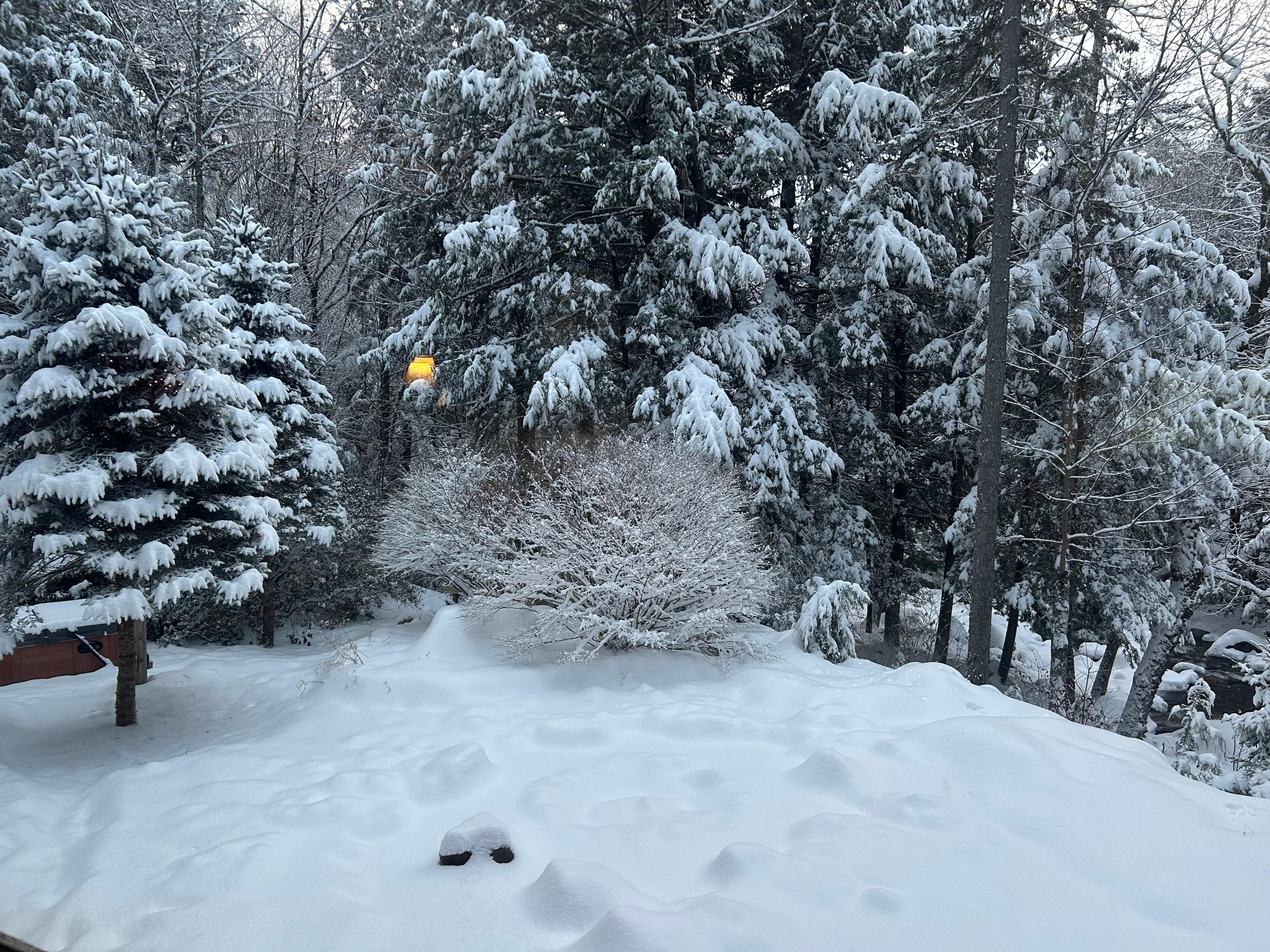 Just beautiful and peaceful!