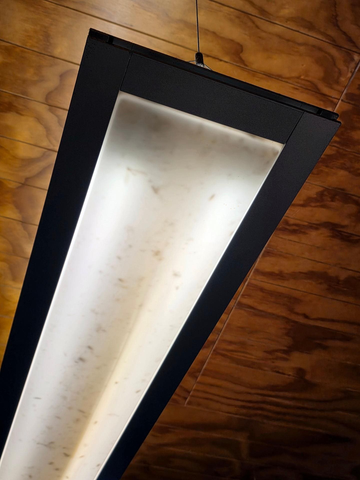 When we turned on the ceiling lights we found at least one of the reasons for the can or RAID.  At least they were all dead.