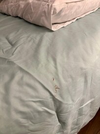 Stained sheets