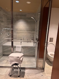 Separate bathtub shower with private toilet