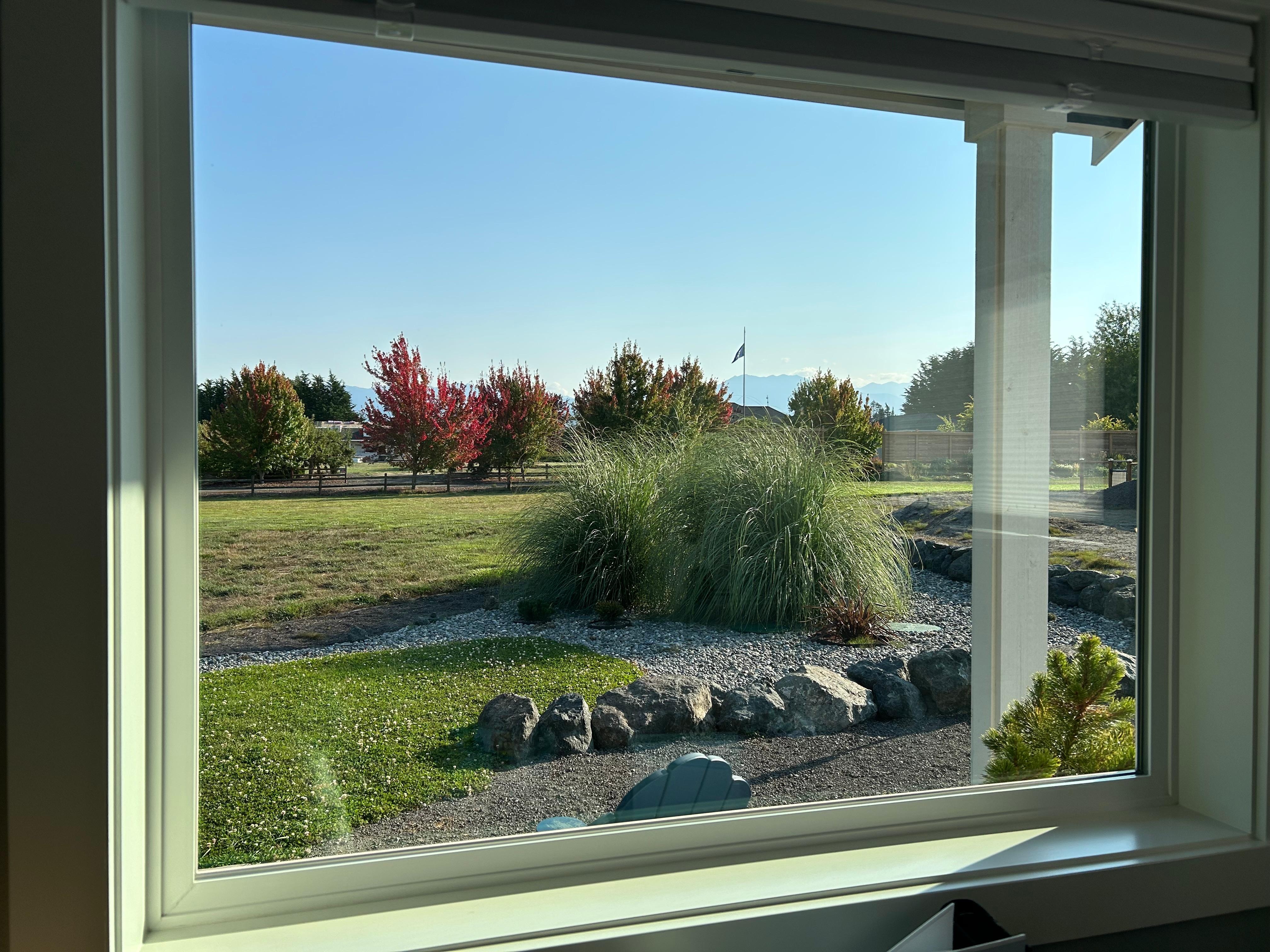 The view from the kitchen window.