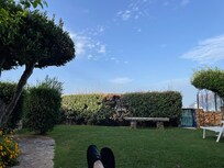 Beautiful garden that looks out at the sea.
