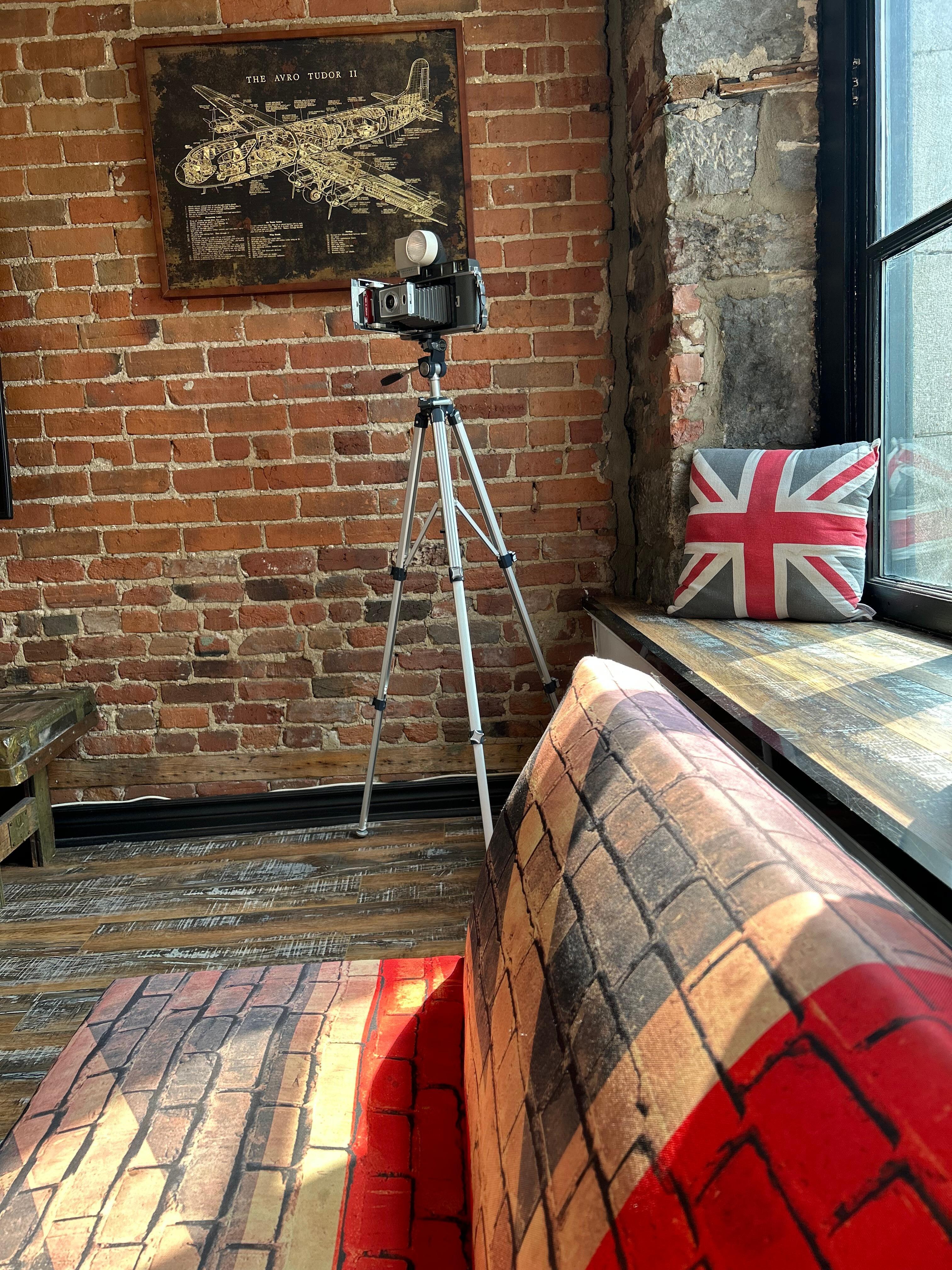 Sun pouring in during the afternoon. Great perch for listening to the jazz music. 