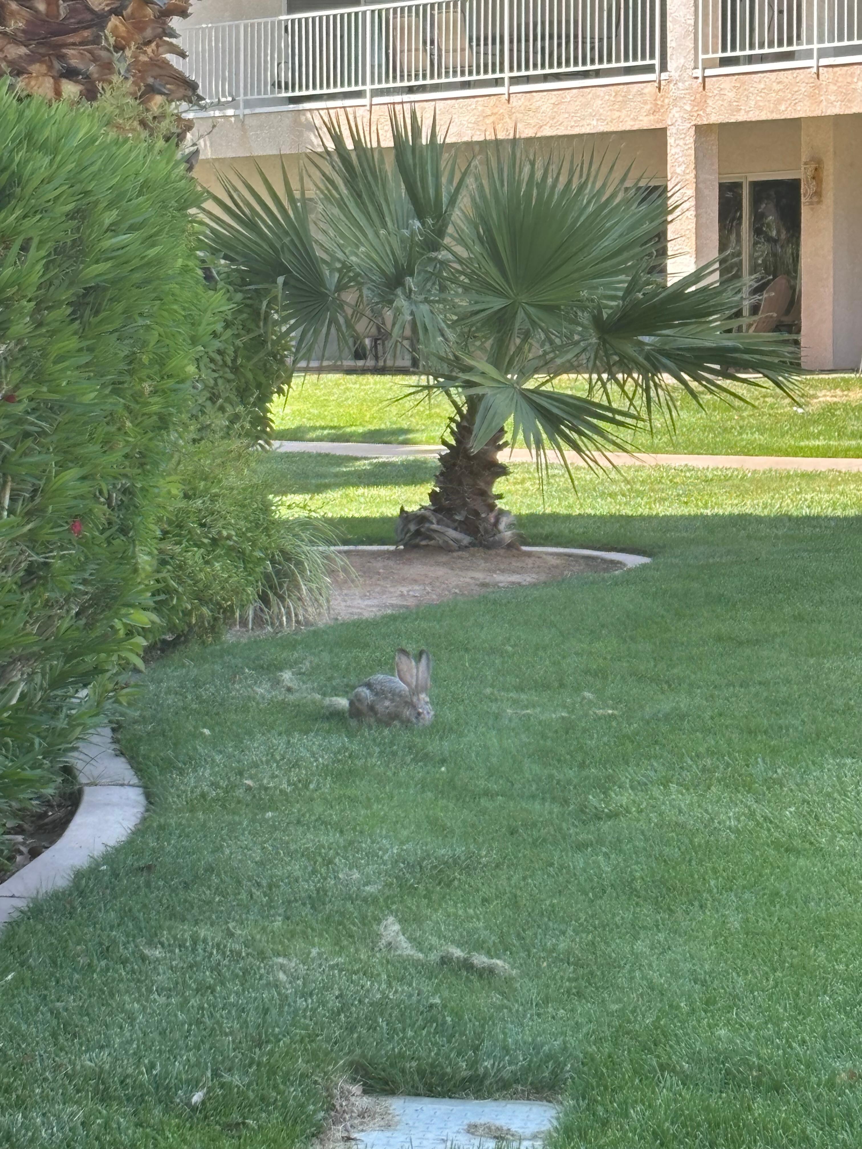 Beautiful grounds with cute critters!