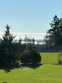 view from the back balcony.