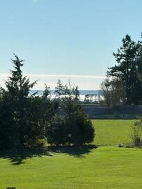 view from the back balcony.