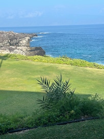 View from Lanai