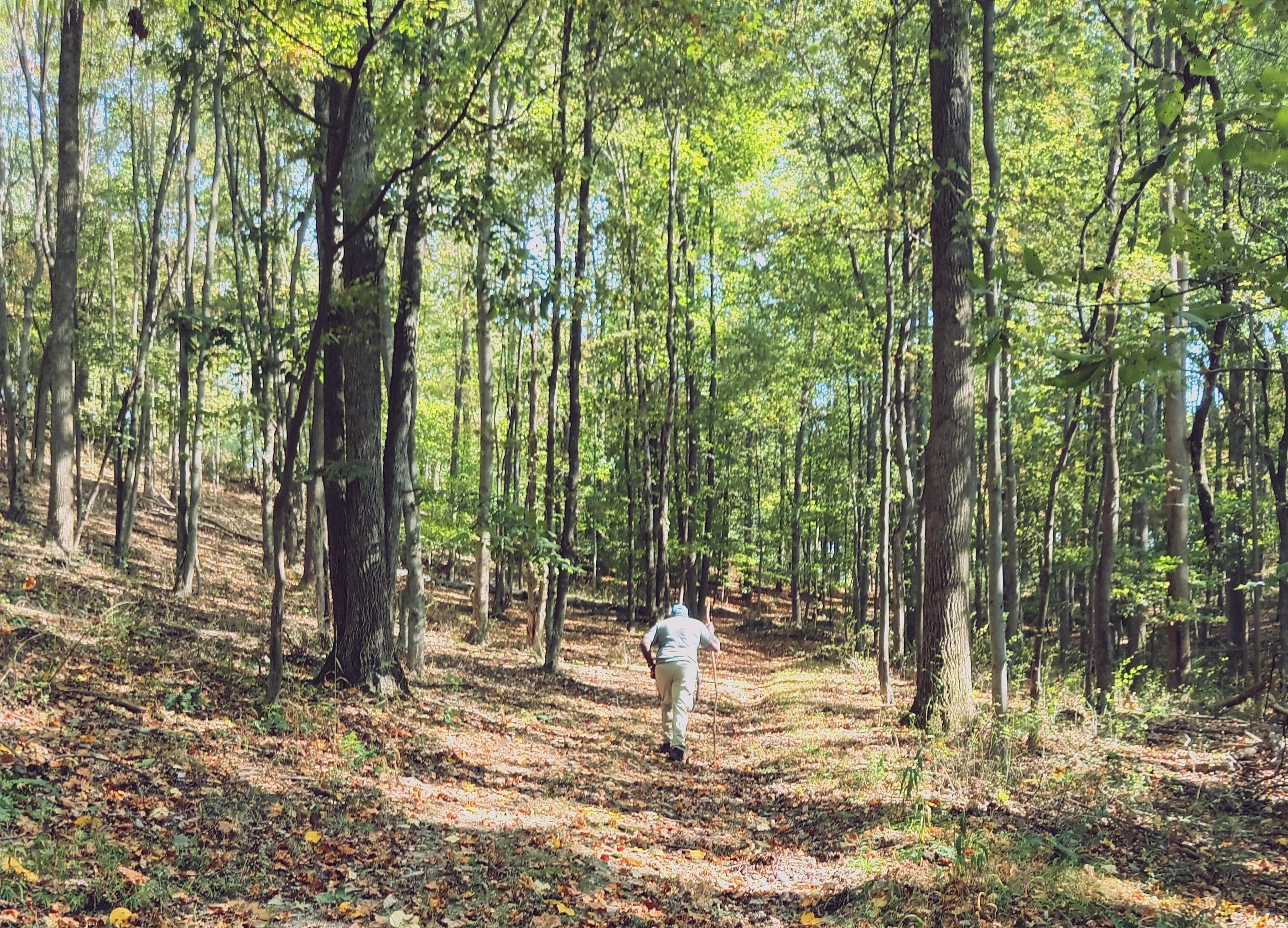 Hiking one of the many trails 