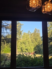 The view of the backyard from the dining room table.