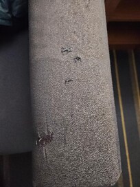 Holes on the arm of the couch in the room.