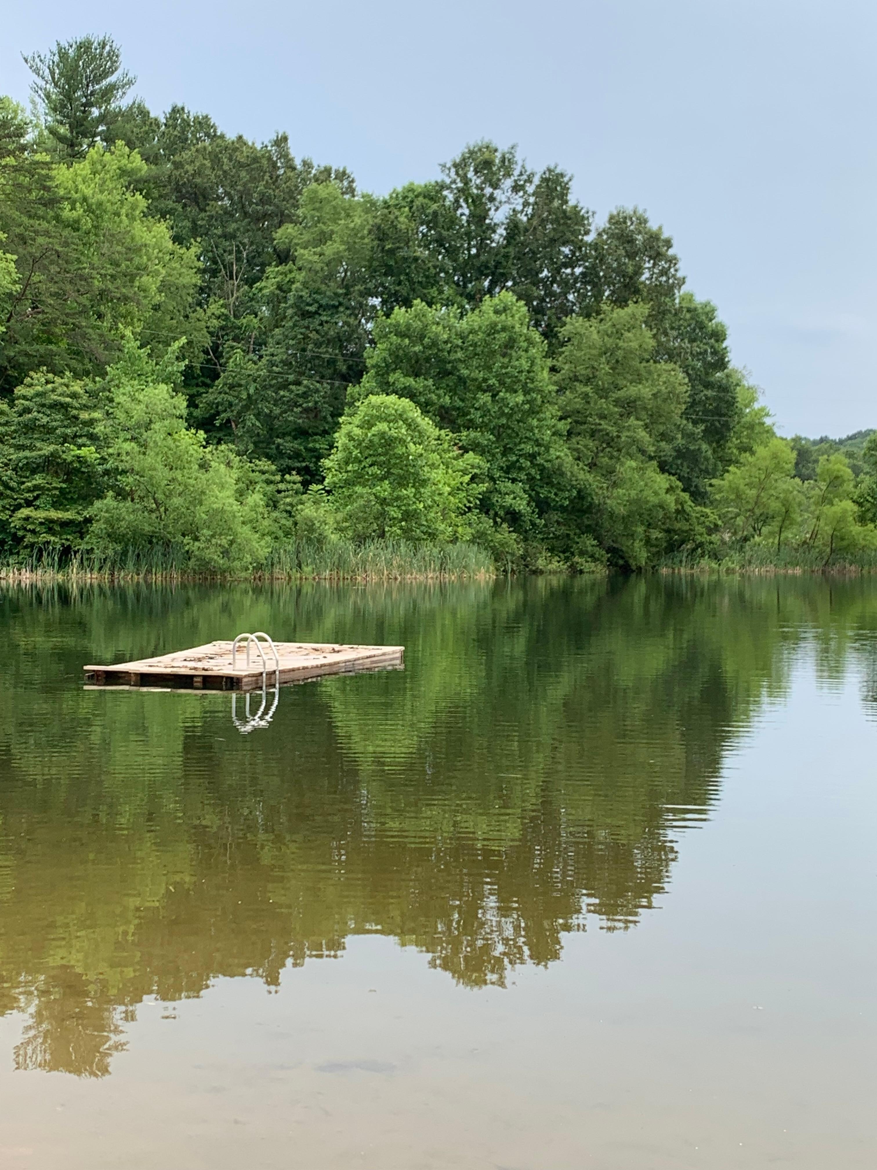 Lake near the cabin.