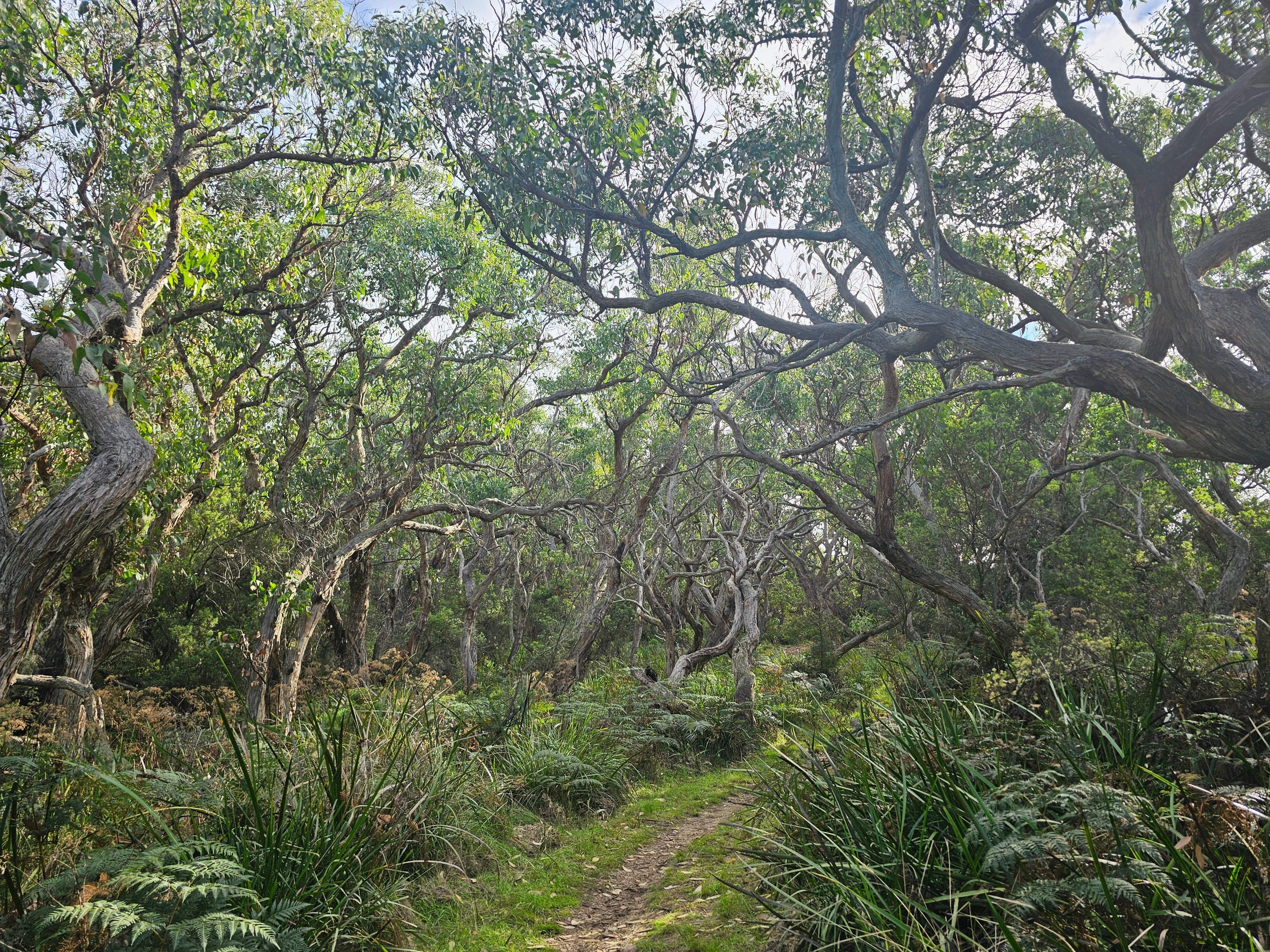 View on walk to Blanket Bay