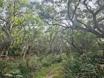 View on walk to Blanket Bay