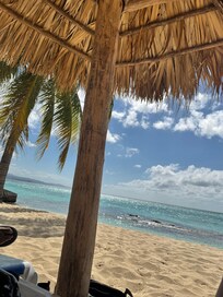 Plenty of shade on the beach