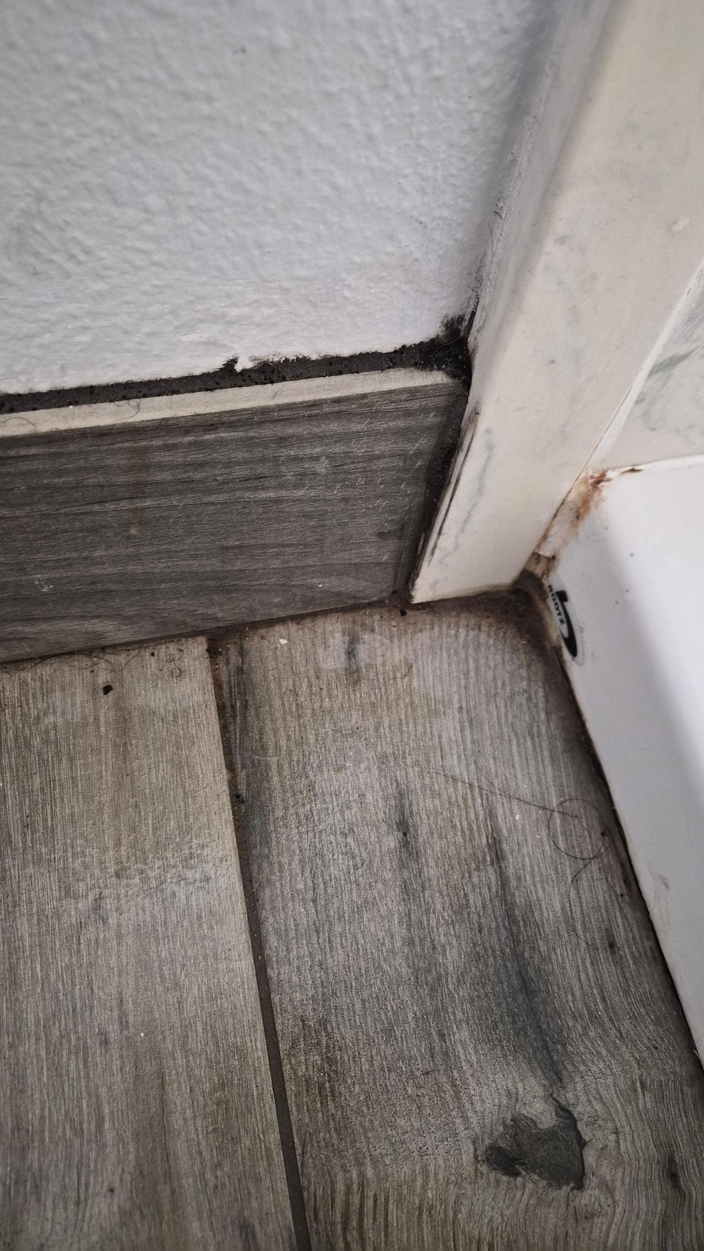 Mold around shower