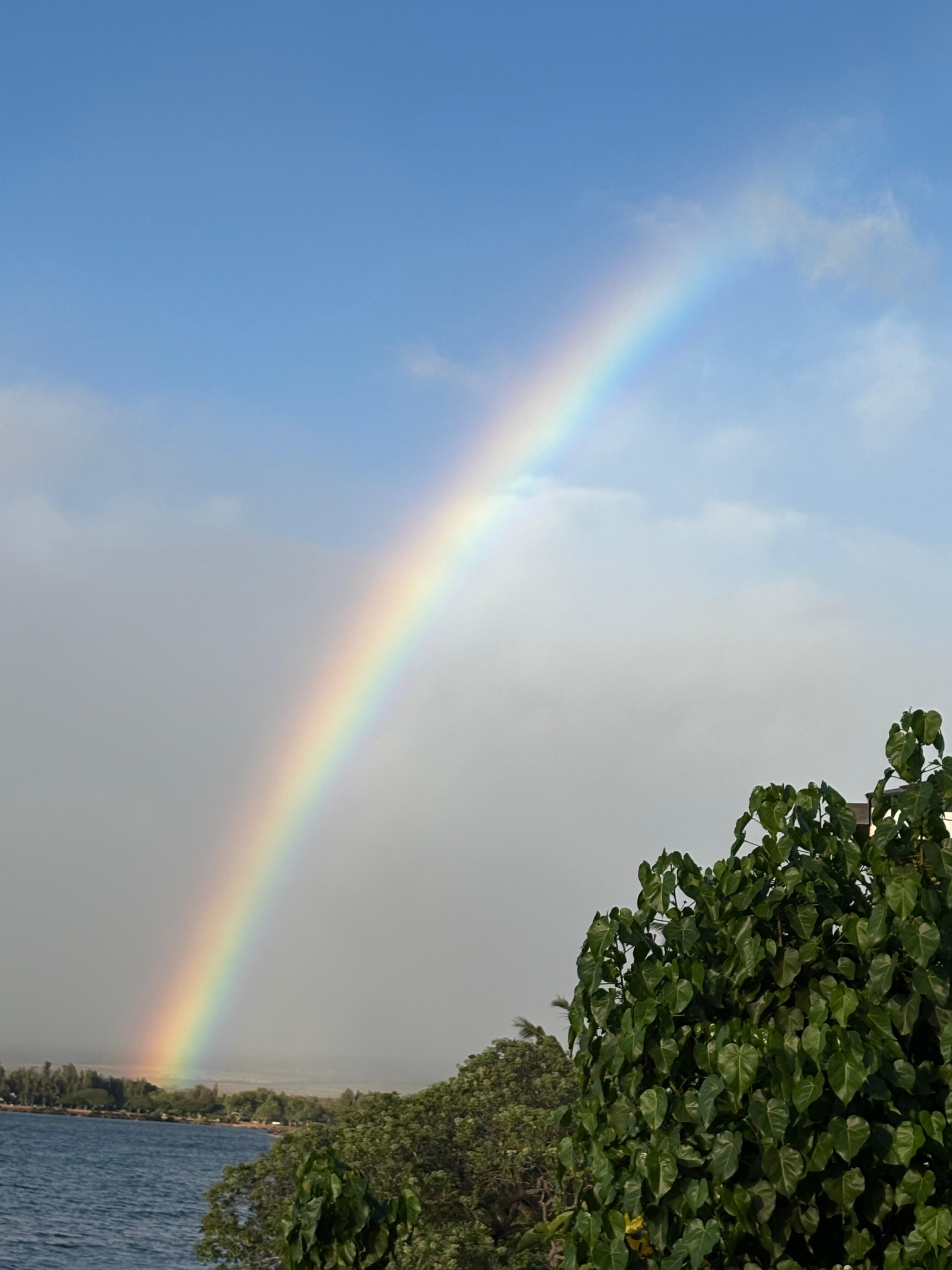 Daily rainbow in Oahu 