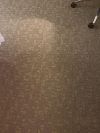 The carpet has minor stains.