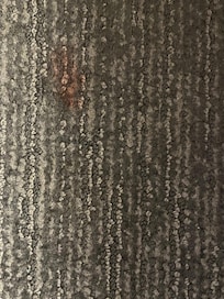 Stains on carpet