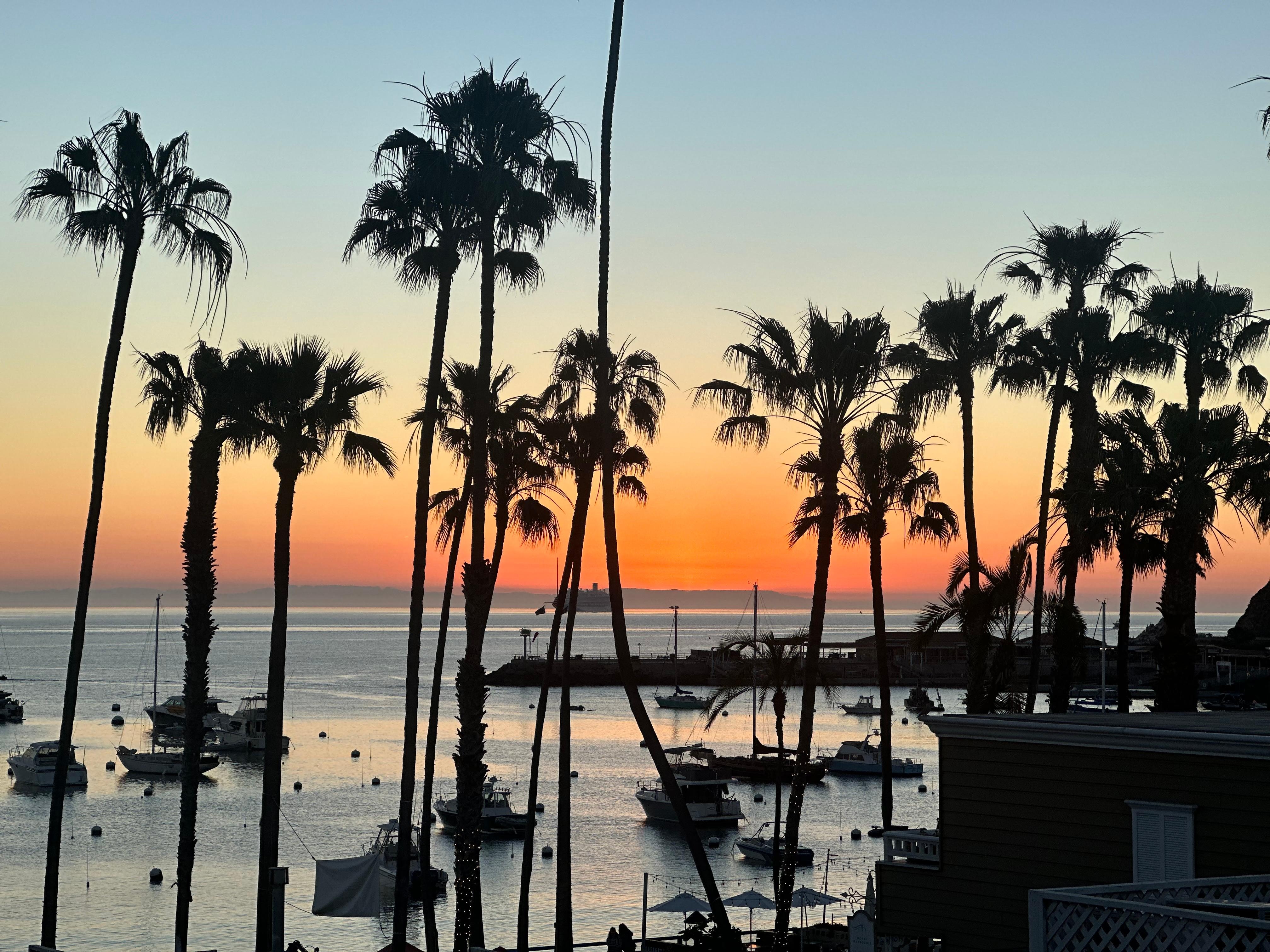 Views from the suite