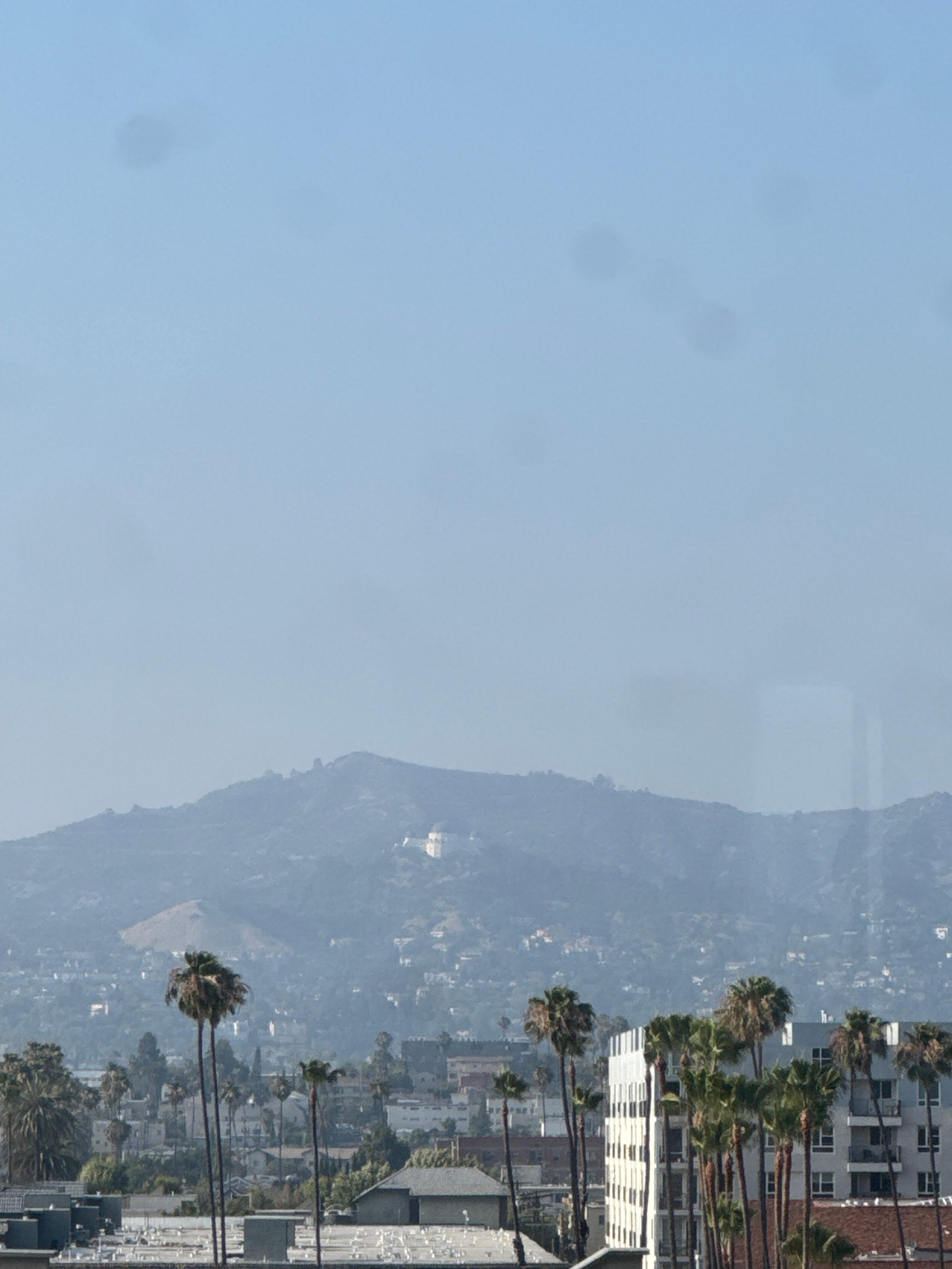 The view