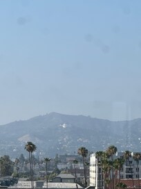 The view