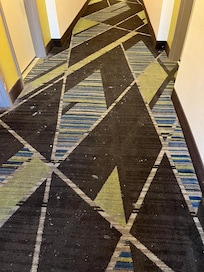 Hallway carpet
