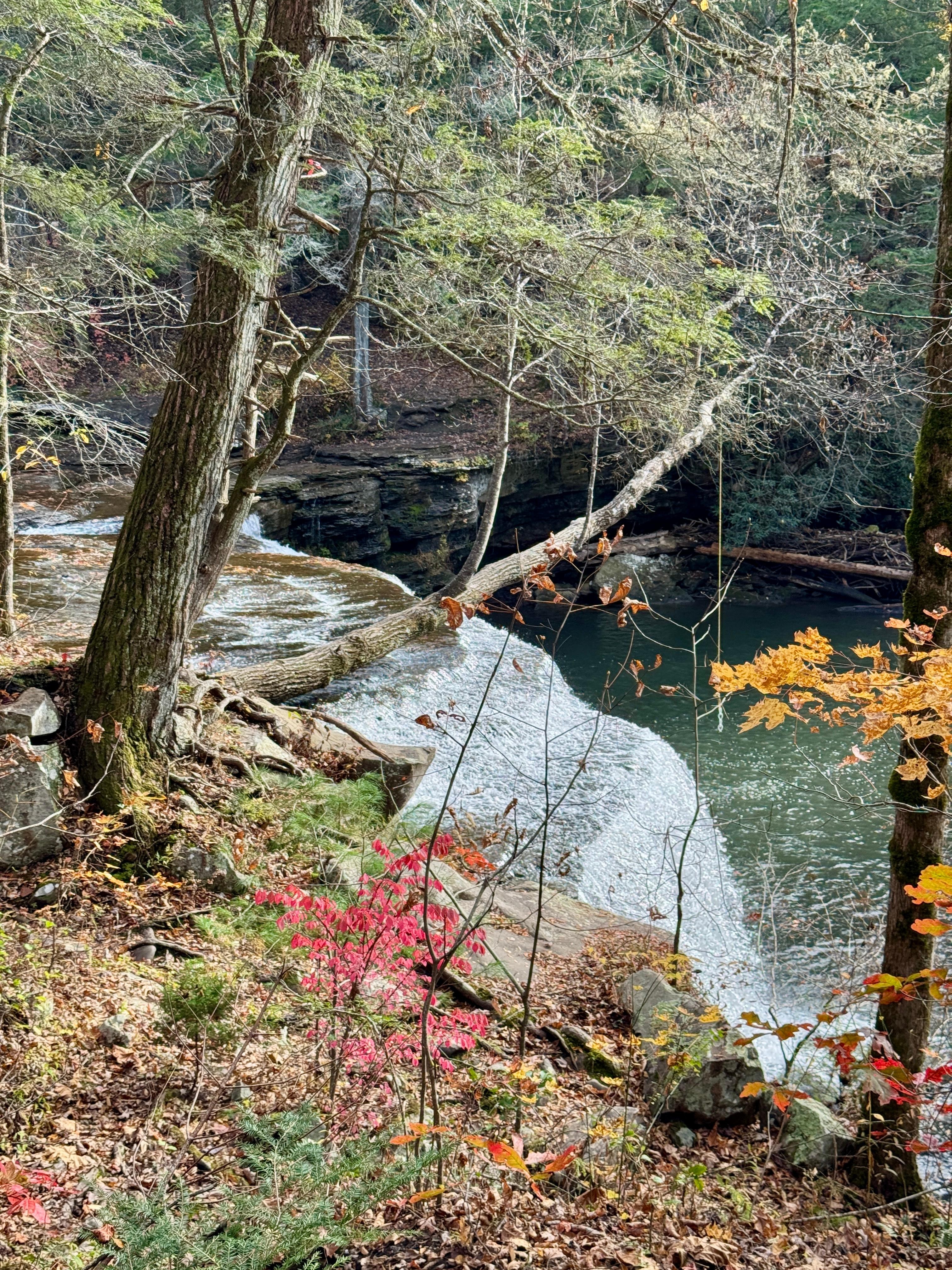 Potter’s Falls, Wartburg, TN