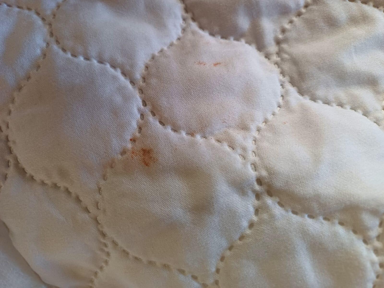 Filthy mattress cover 