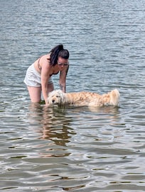Dog 1st swim