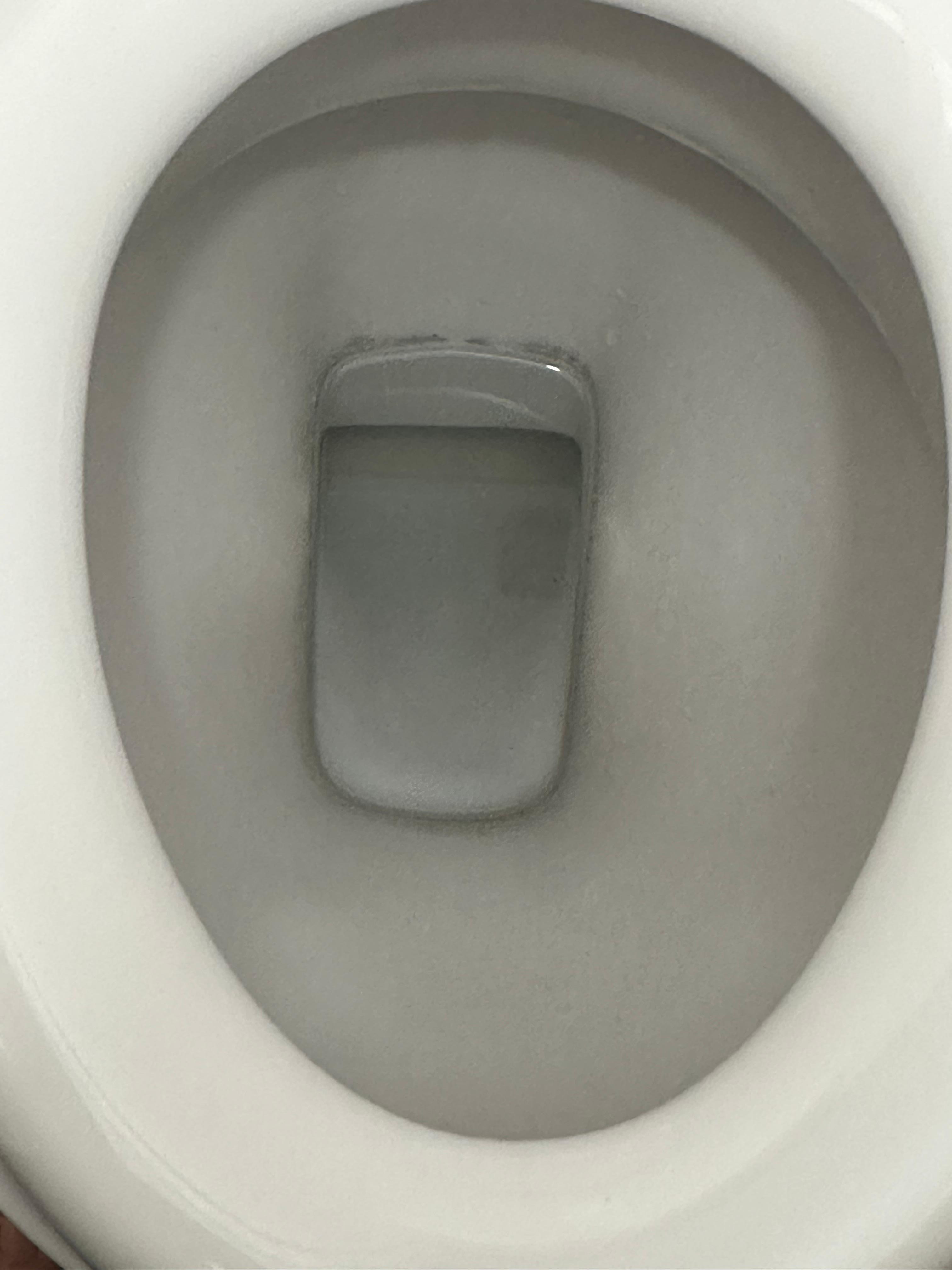 Grey dirt ring in toilet bowl 