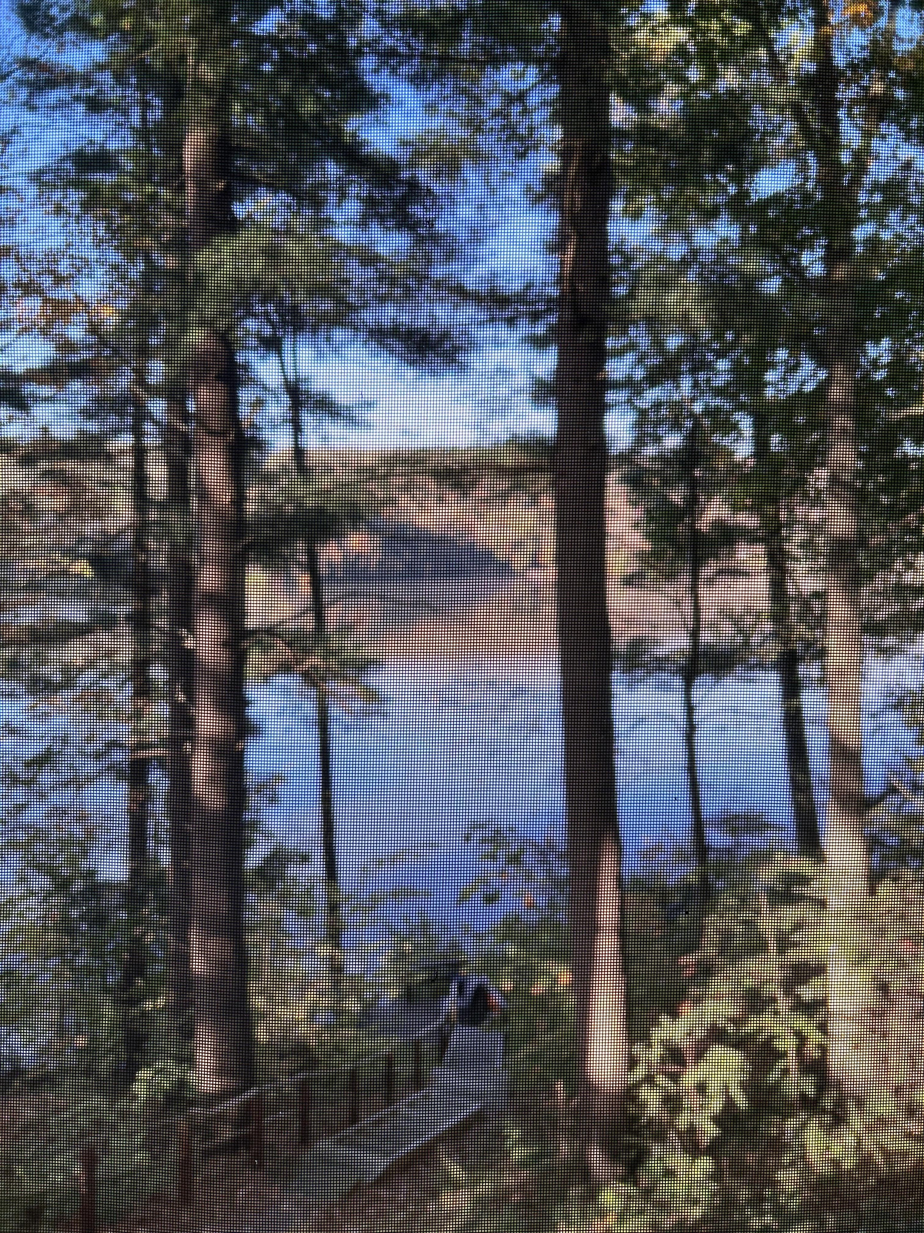 View of lake from house