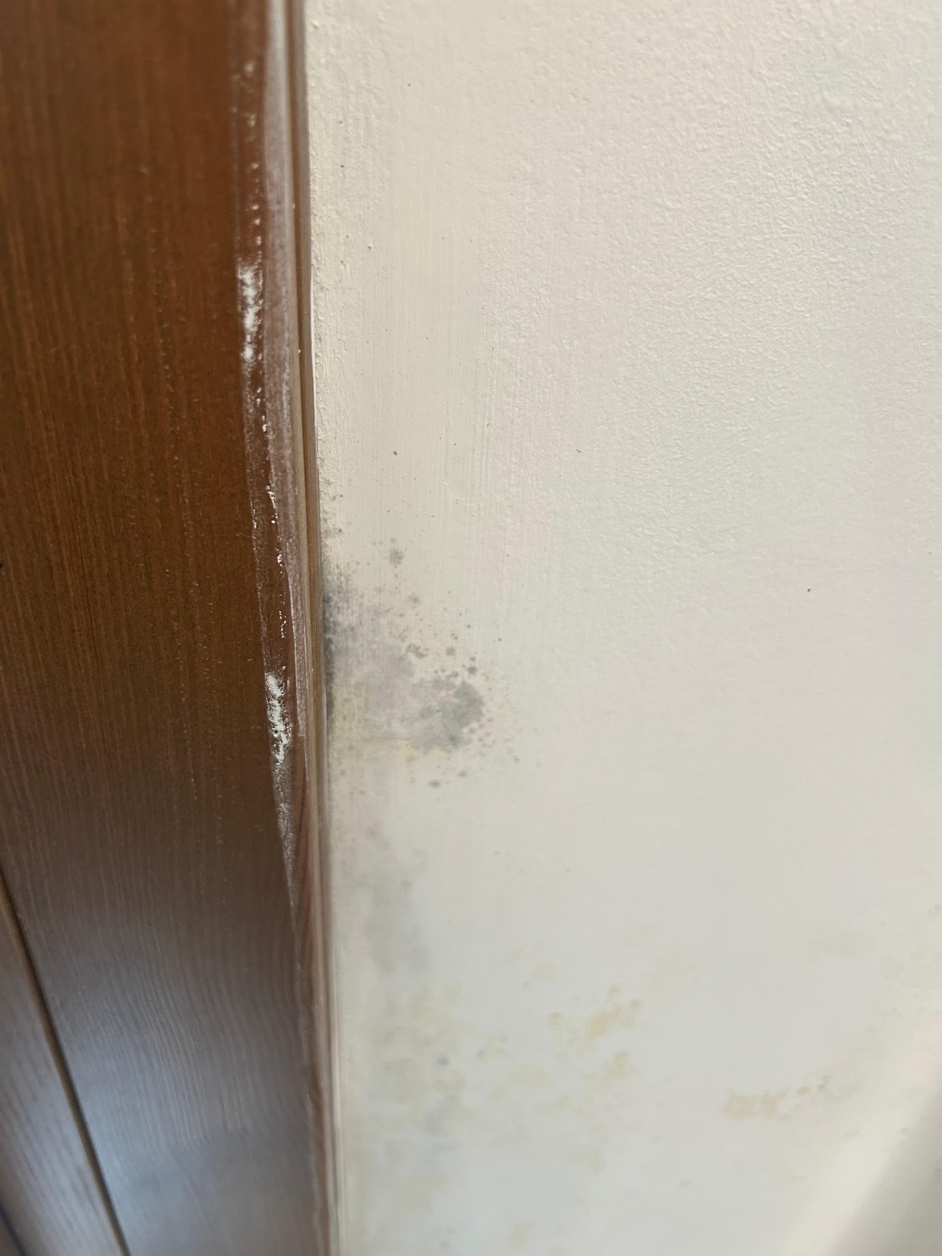 More mold