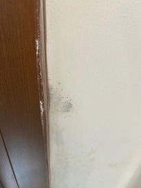 More mold