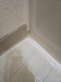 Let me introduce you to my little friend!