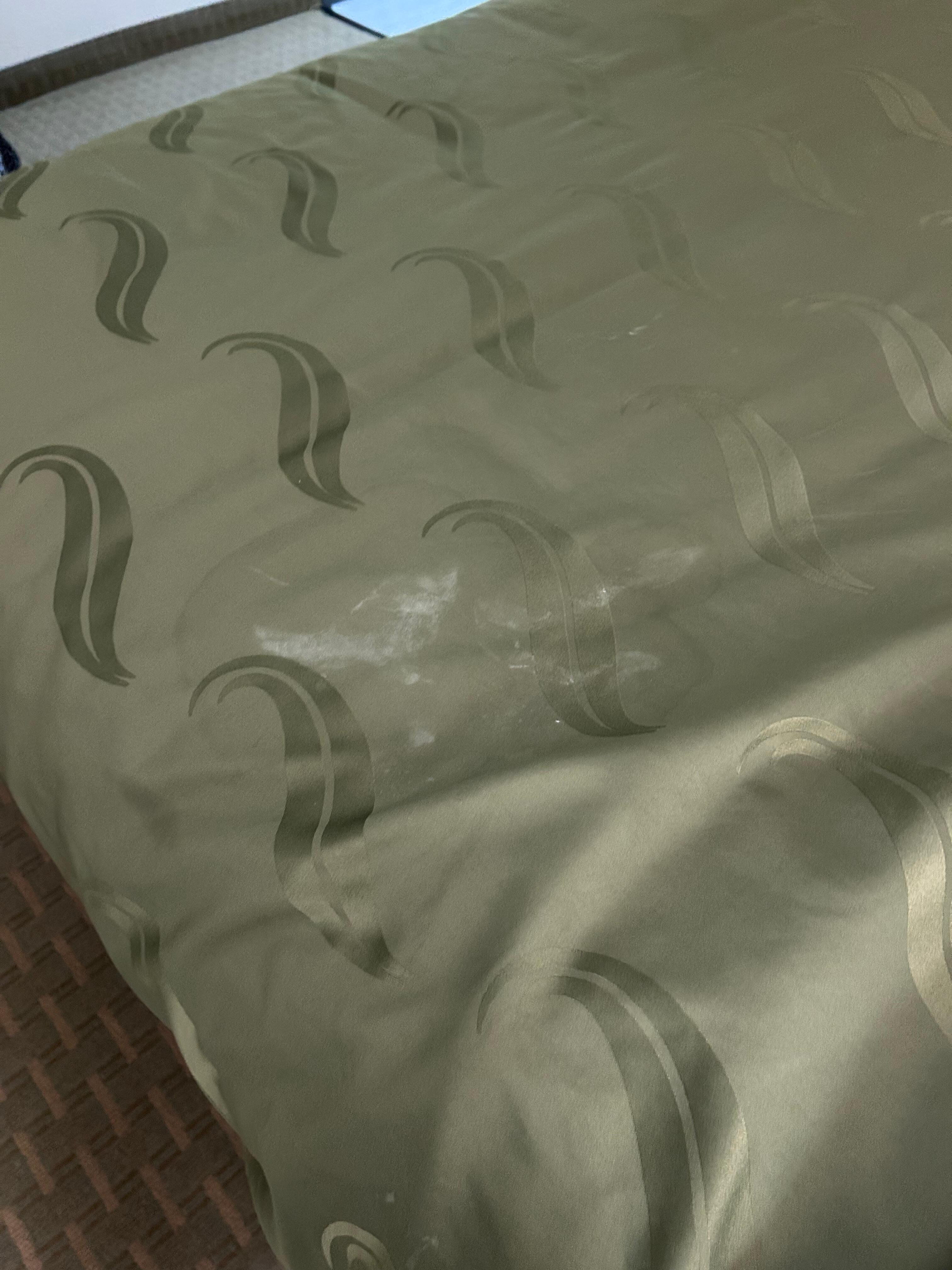 Stains or other on the comforter 
