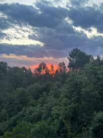 The view from my room at sunset.