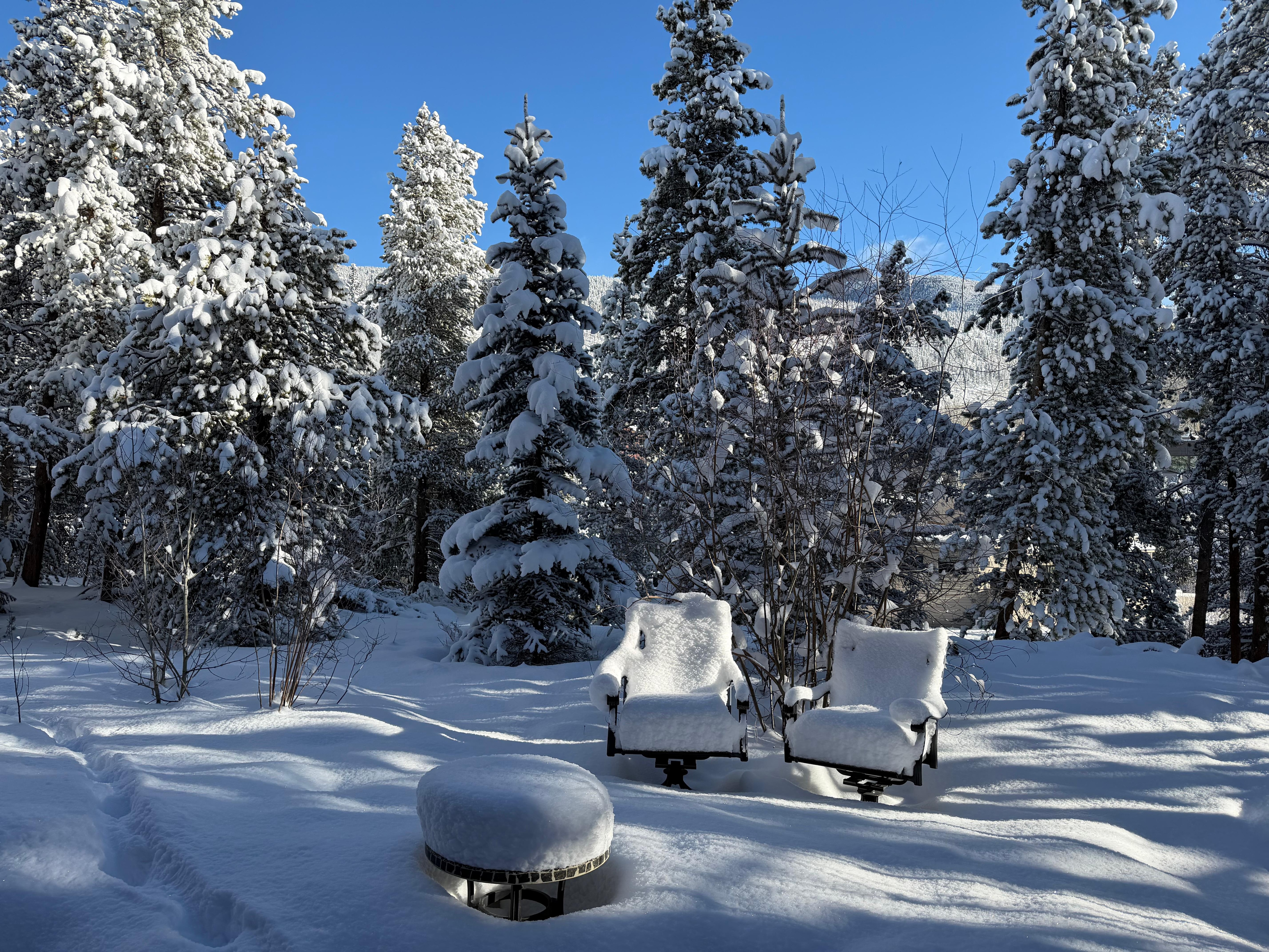 Morning after 13 inches of snow looking out back door 