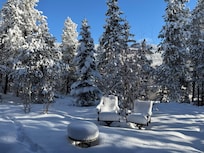 Morning after 13 inches of snow looking out back door