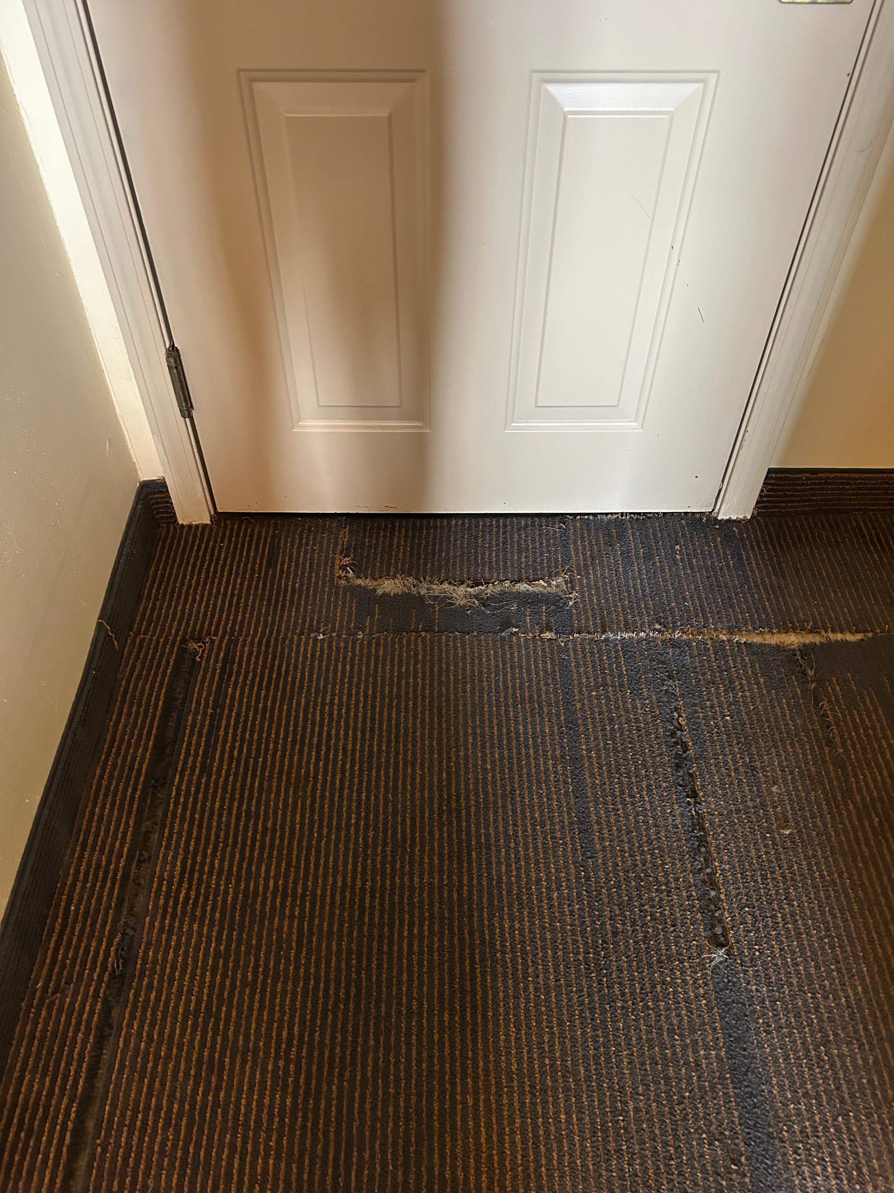 Torn rug in room 219