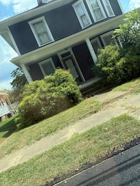 Overgrown front bushes