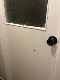 Moths on the bathroom door