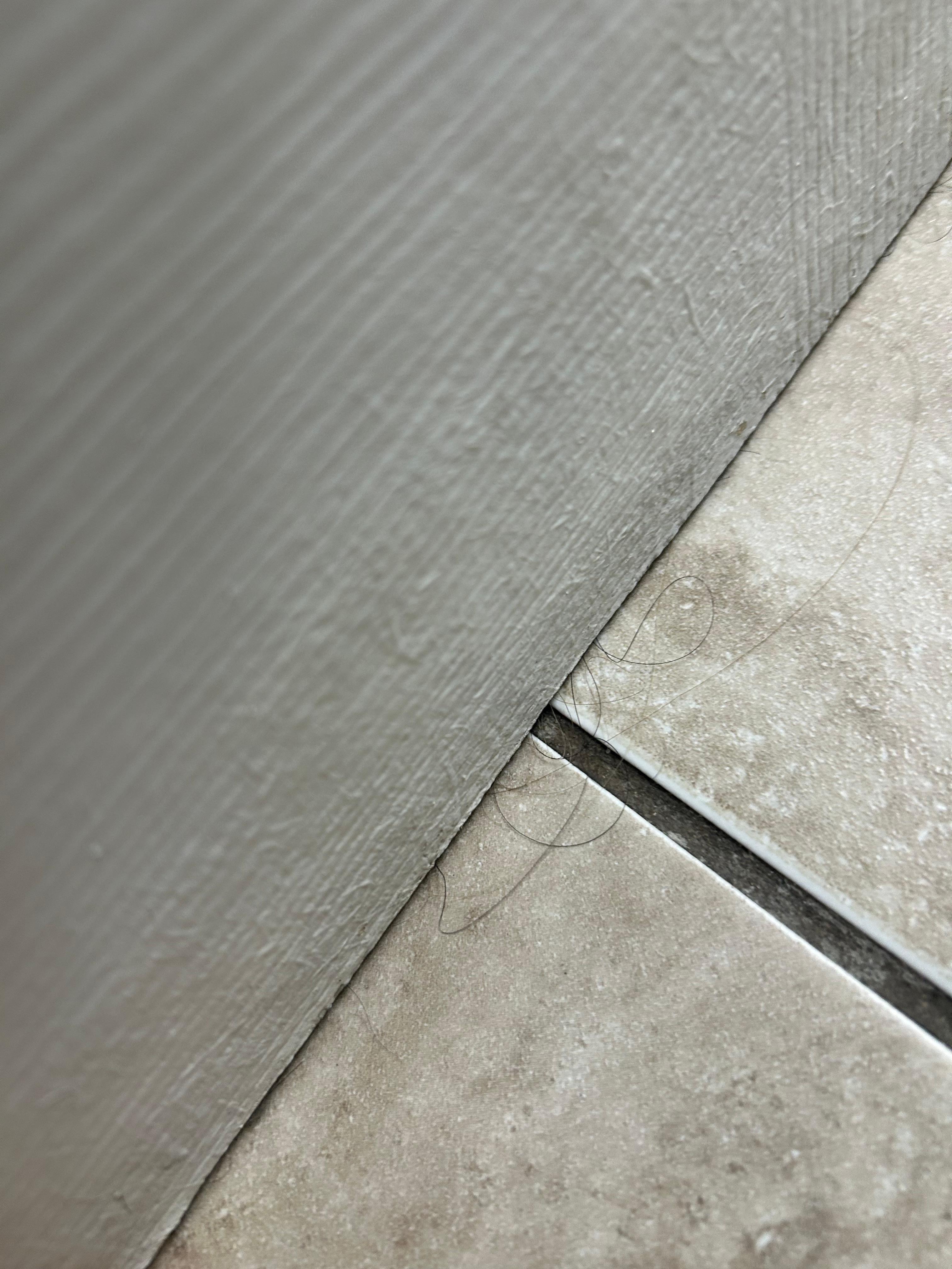 Hair left in the flor