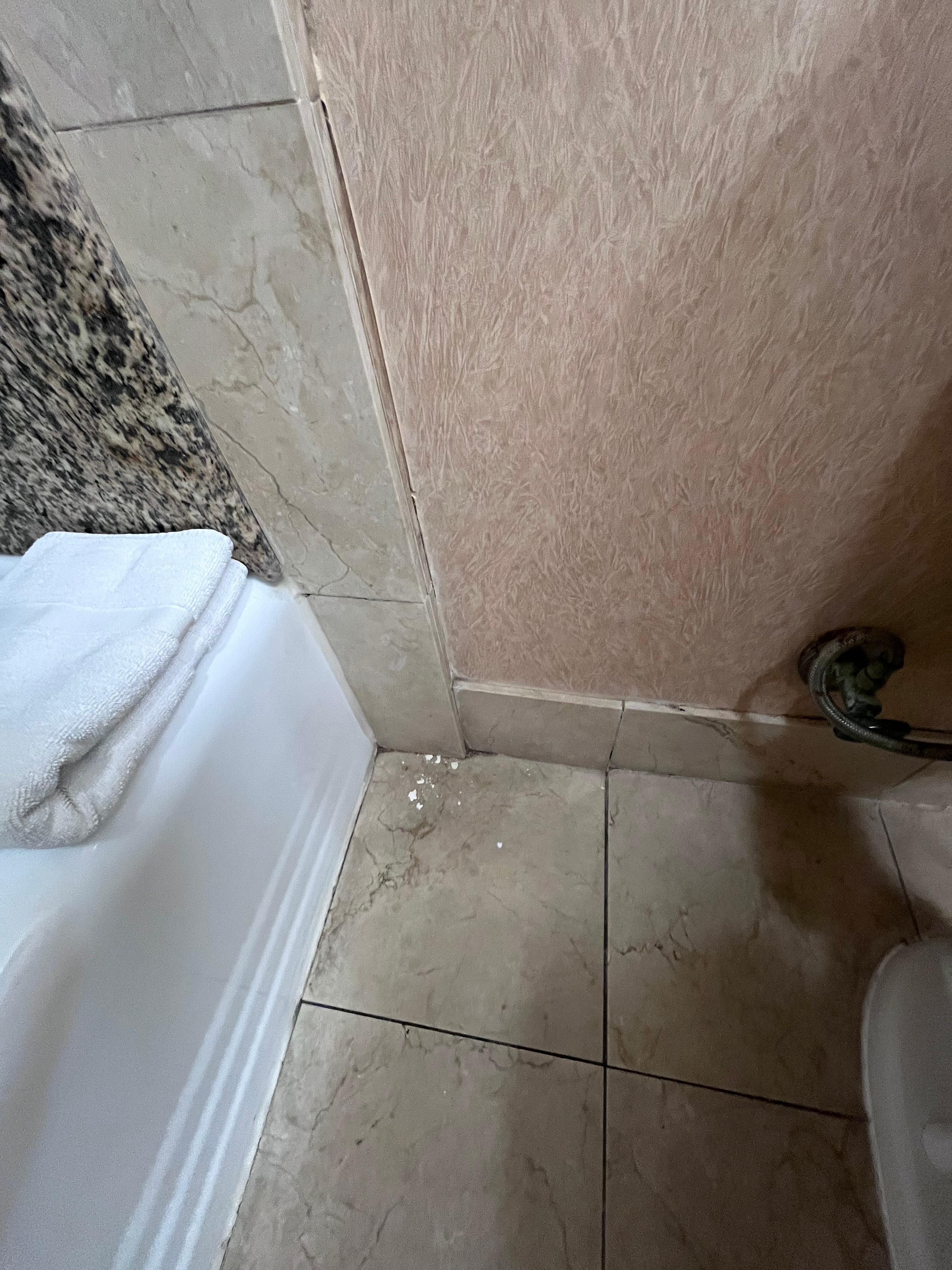 Between the shower and toilet again how long ago was this room cleaned or even inspected?